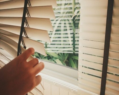 A person adjusting blinds in a sunlit room in Mexico